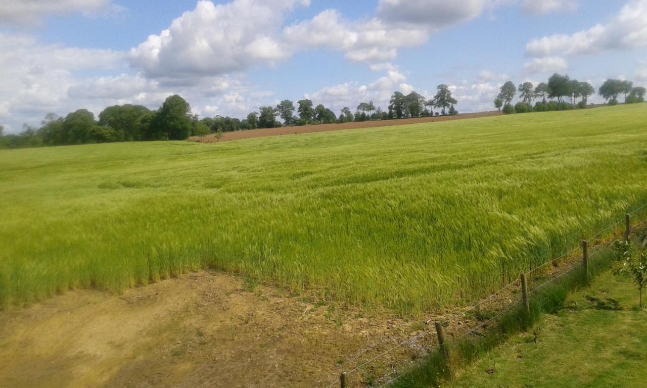 La Petite Maison Dans La Prairie Notre-Dame-du-Touchet Esterno foto